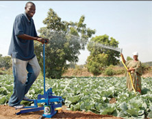 farmland in africa